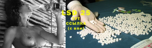 прущая мука Щигры