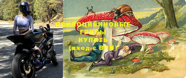 2c-b Гусев