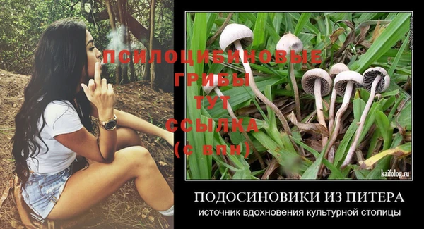 метадон Гусь-Хрустальный