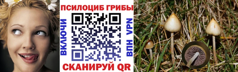 Галлюциногенные грибы мухоморы  Гулькевичи 